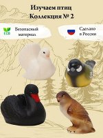 Изучаем птиц. Коллекция 2. Набор из 4 игрушек.