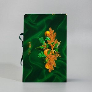 Коробка‒книга «С Новым Годом!», изумрудная, 20 х 12.5 х 5 см