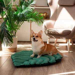Лежанка Mr.Kranch для собак Листочек средняя двусторонняя с имитацией кожи, размер 90х65х5см, зеленая