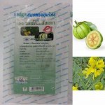 ФИТОЧАЙ для похудения Thanyaporn Senna - Garcinia Infusion, В ФИЛЬТР-ПАКЕТАХ