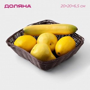 Корзинка для фруктов и хлеба Доляна «Шоко», 20x20x6,5 см