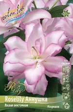 Лилия ROSELILY Аннушка (Восточная/Махровая) 12/14 1шт (Колорлайн)