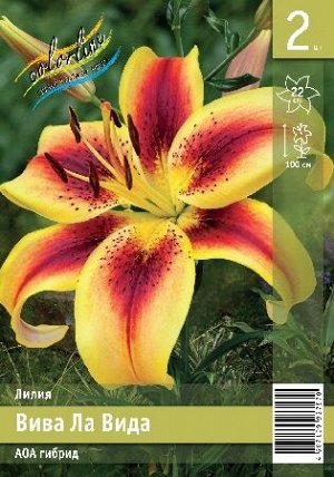 ЛИЛИЯ ВИВА ЛА ВИДА | Промолайн / Лилии гибриды. Цветы весенней посадки