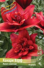 КАНАРИ ВАРФ 16/18