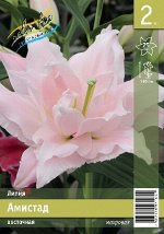 ЛИЛИЯ АМИСТАД