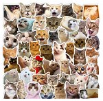 Набор наклеек &quot;Кошки&quot;, 50 шт./упк.