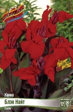 Canna Black Knight