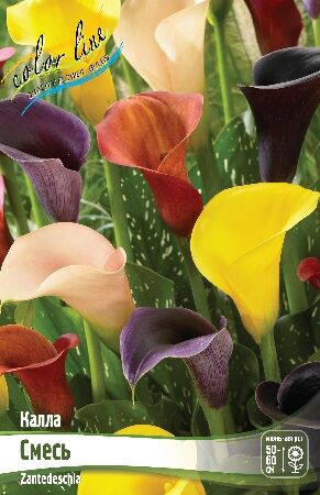 КАЛЛА СМЕСЬ