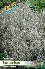 БРИСТОЛ ФЕРИ