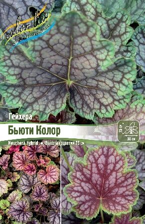 Гейхера бьюти колор
