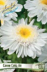 САННИ САЙД АП
