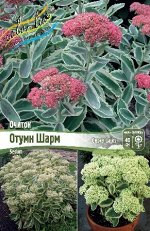 ОТУМН ШАРМ