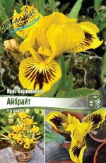 АЙБРАЙТ