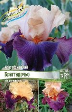 Ирис Браггадочьо (Германский) 1шт (Колорлайн)
