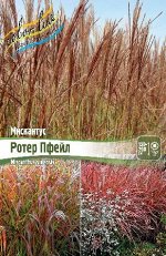 РОТЕР ПФЕЙЛ