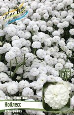 НОБЛЕСС