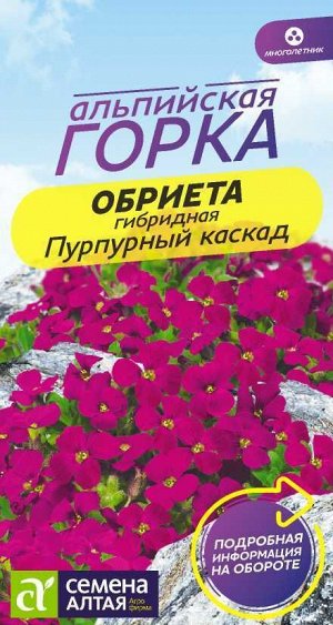 Цветы Обриета Пурпурный каскад/Сем Алт/цп 0,03 гр. многолетник Альпийская горка