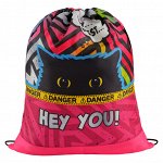 Мешок для обуви 1 отделение ArtSpace &quot;Spy Cat&quot;, 340*420мм