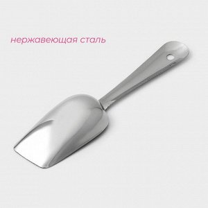 Совок для льда из нержавеющей стали Доляна, длина 22,5 см, цвет хромированный