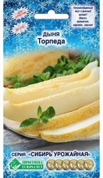 Дыня Торпеда ЦВ/П (ЕС) 10шт среднеспелый