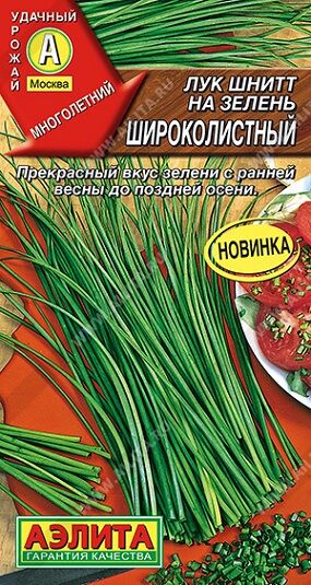 Лук шнитт на зелень Широколистный (Код: 90941)
