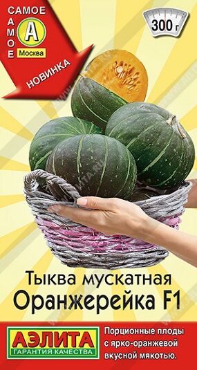 Тыква Оранжерейка мускат. F1 (Код: 91068)