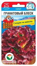 Салат Гранатовый Блеск (Код: 91341)