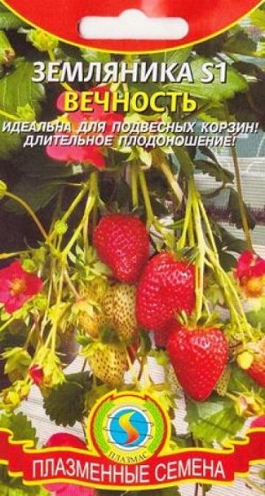 Клубника S1 Вечность (Код: 74484)