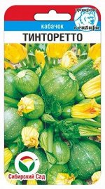 Кабачок Тинторетто (Код: 91129)