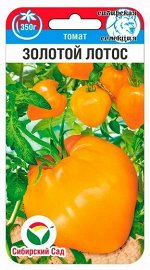 Томат Золотой лотос (Код: 91310)