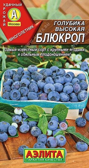 Голубика Блюкроп (Код: 90906)