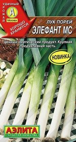 Лук порей Элефант (Код: 90935)