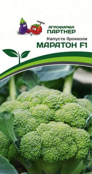 Капуста брокколи Маратон F1