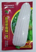 Кукуруза сладкая