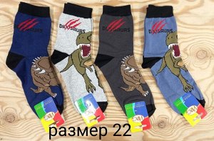 Носки детские хлопковые для мальчика с принтом Динозавр цвета Микс, без выбора