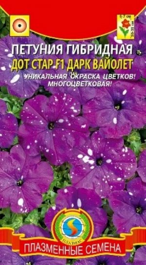 Петуния Дот Стар Дарк виолет F1 (Код: 88055)