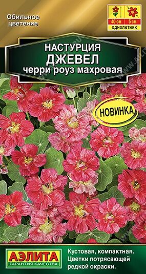 Настурция Джевел Черри Роуз (Код: 91019)