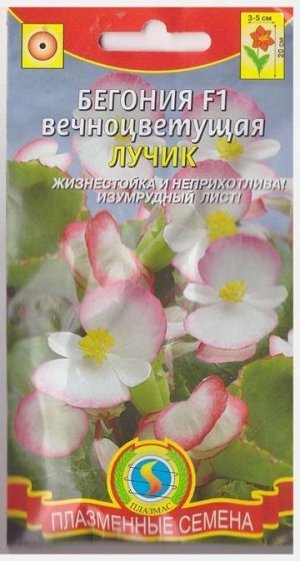 Бегония Лучик F1 (Код: 75807)