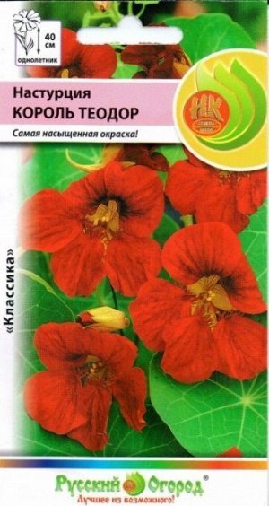 Настурция Король Теодор (Код: 165)