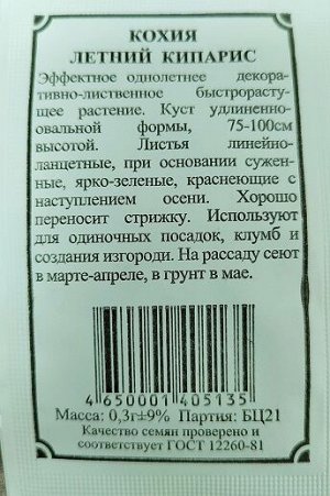 Кохия Летний кипарис ч/б (Код: 91219)