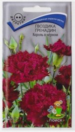 Гвоздика Гренадин Король в черном (Код: 67669)