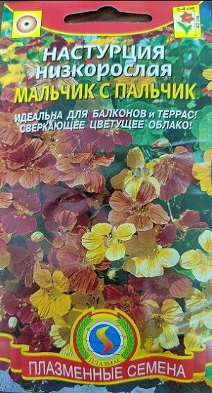 Настурция Мальчик с Пальчик (Код: 91216)