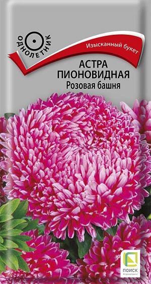 Астра Розовая Башня (Код: 91150)