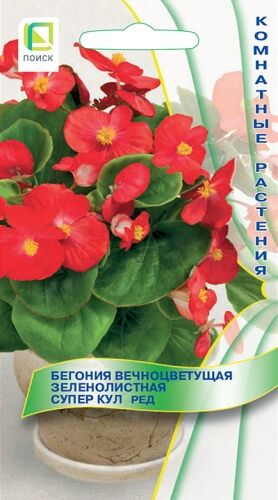 Бегония Супер Кул Ред (Код: 91158)
