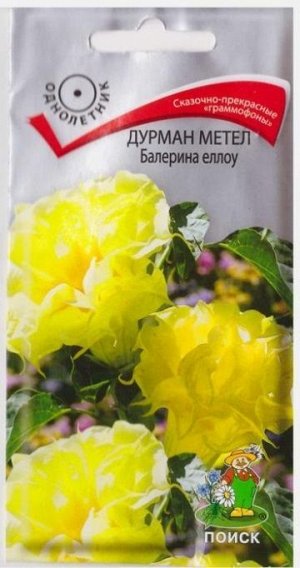 Дурман метел Балерина Еллоу (Код: 14296)