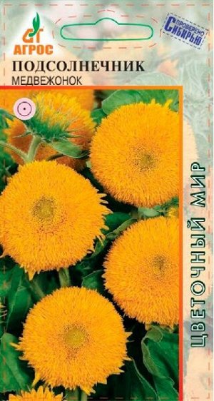 Подсолнечник Медвежонок (Код: 12302)
