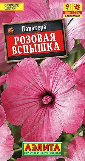 Лаватера Розовая вспышка (Код: 91017)