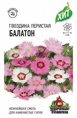 Гвоздика Перистая Балатон ХИТ' (Код: 84884)