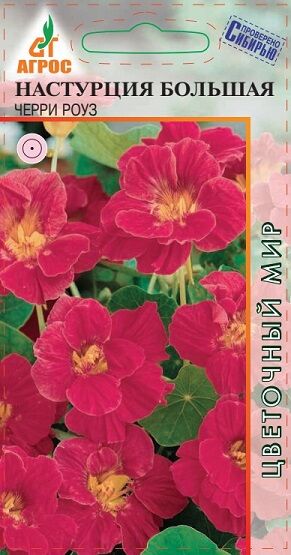 Настурция Черри Роуз большая (Код: 91354)