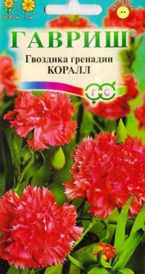 Гвоздика Садовая Гренадин Коралл (Код: 86963)